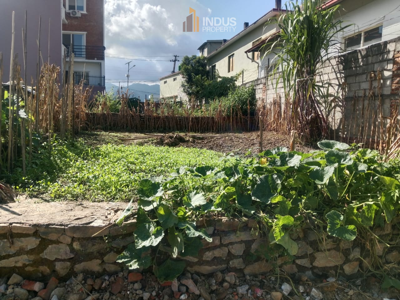 property-image
